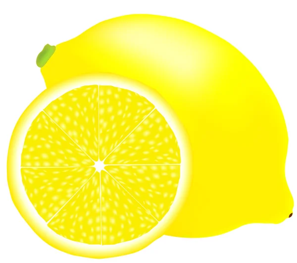 Lemon　fruit — Stok Vektör
